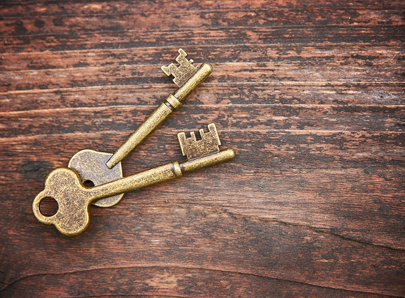 What is a Skeleton Key?